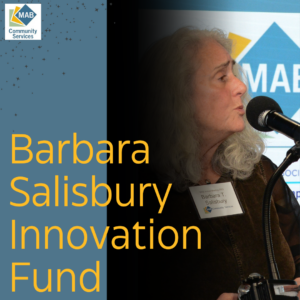 The Barbara Salisbury Innovation Fund